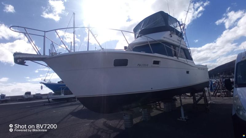 Carver 32 Convertible