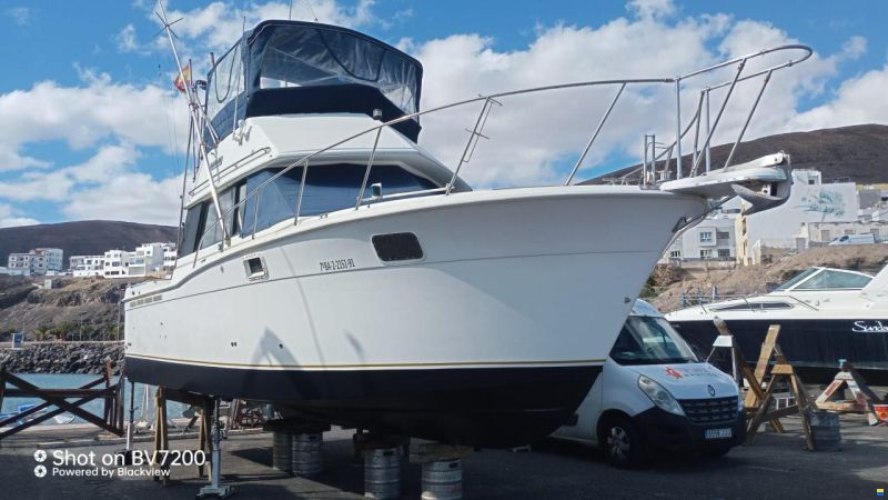 Carver 32 Convertible