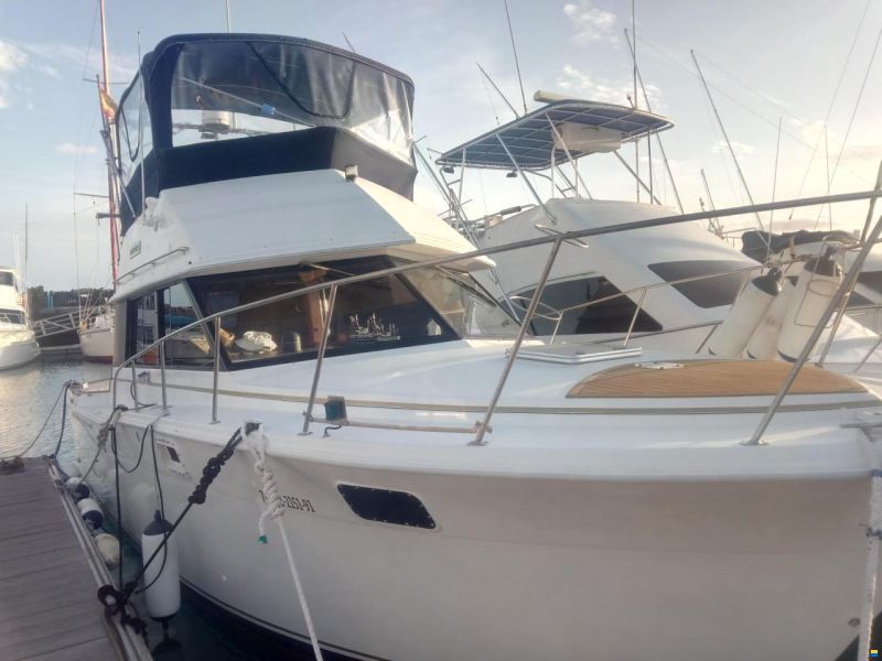 Carver 32 Convertible