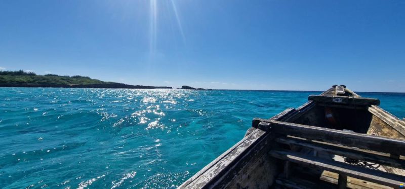 Place de port a louer 10 / 230  8m x3,25