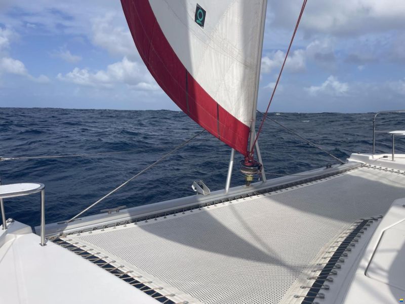 Leopard 44