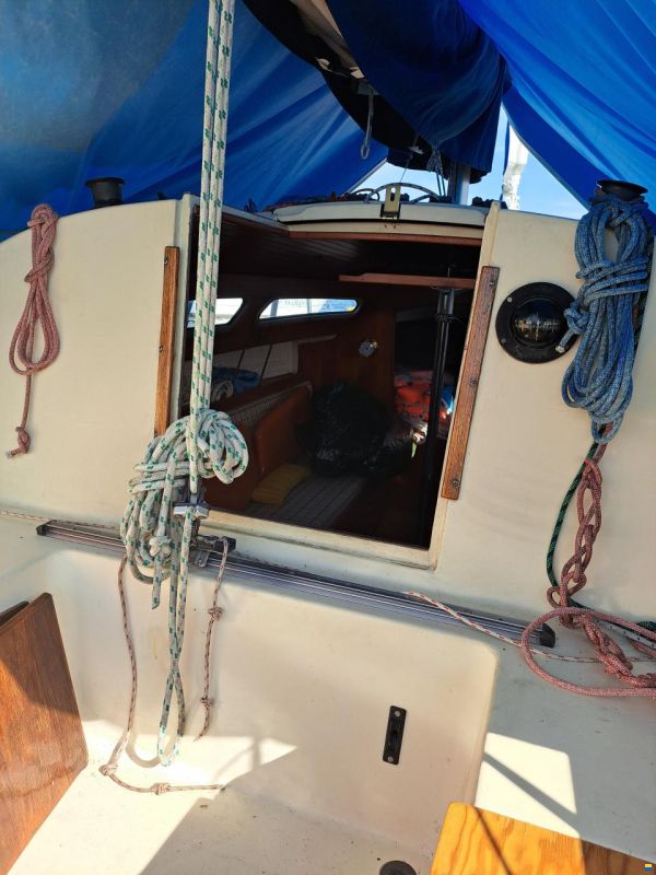 Lars Olsen Olsen L 23