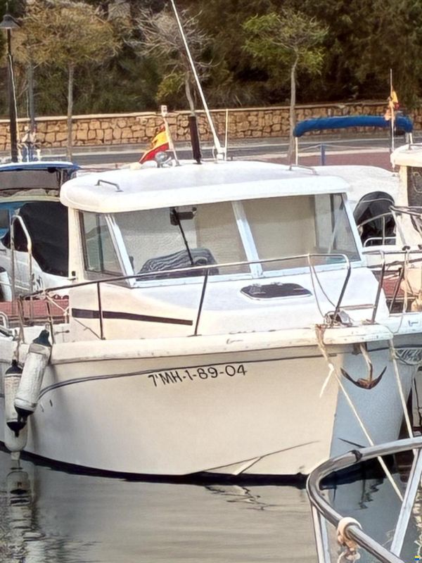 Tarraga 600