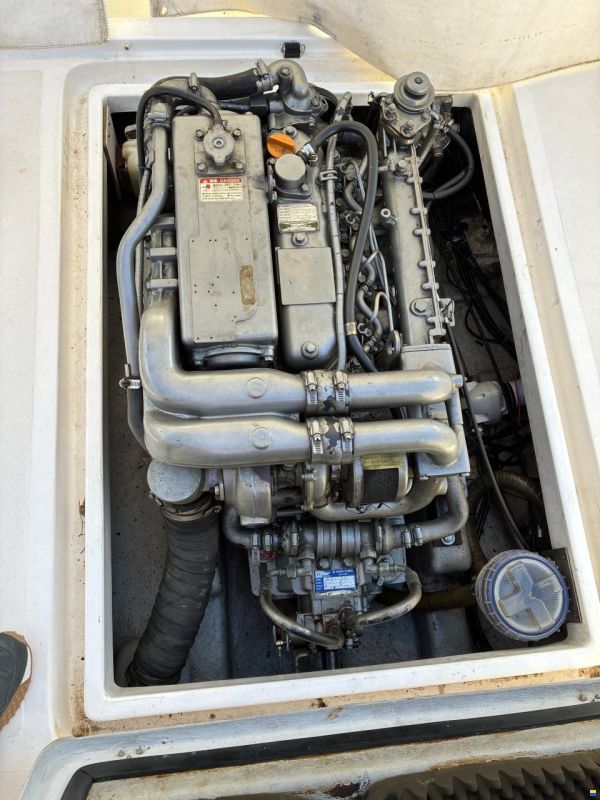 Tarraga 600