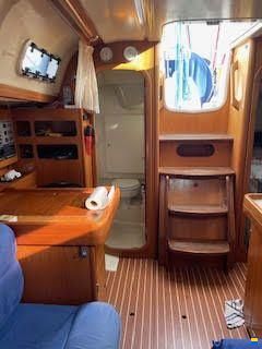 Dufour 34 Performance