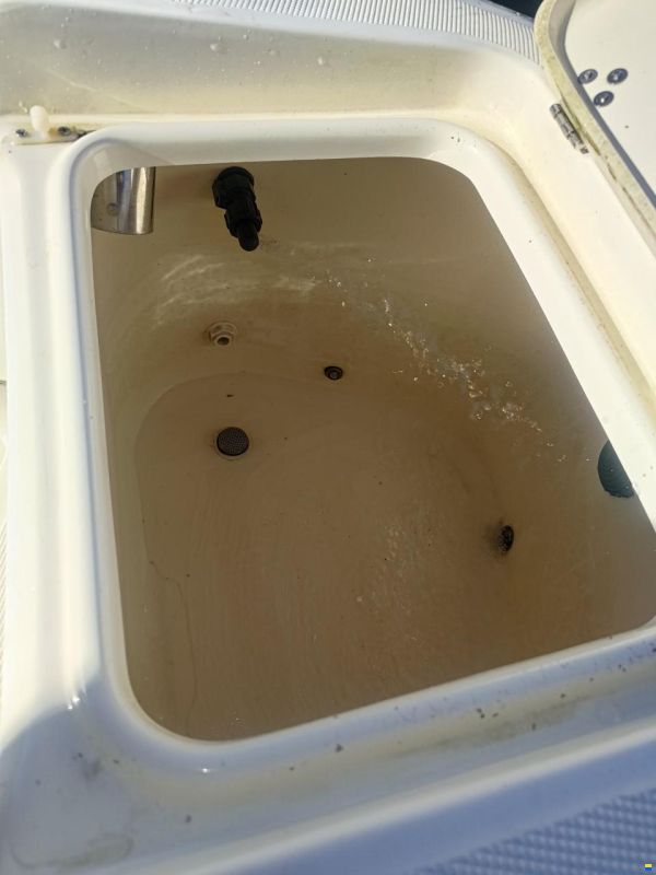 Scout Boats Sportfish 205