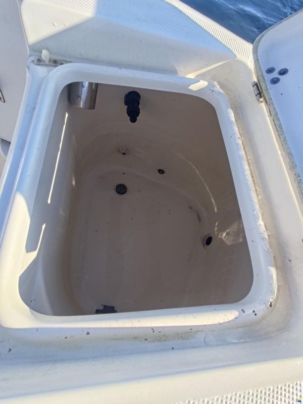 Scout Boats Sportfish 205