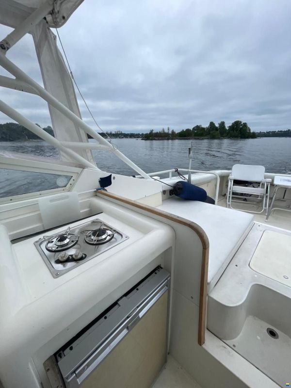 Bertram 28 Moppie