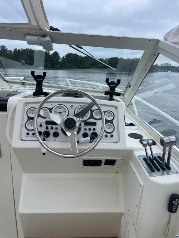 Bertram 28 Moppie