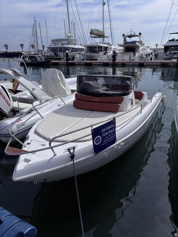 Allegra 19DN