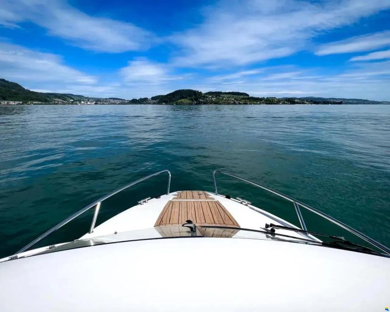 Flipper 650 Sport Top