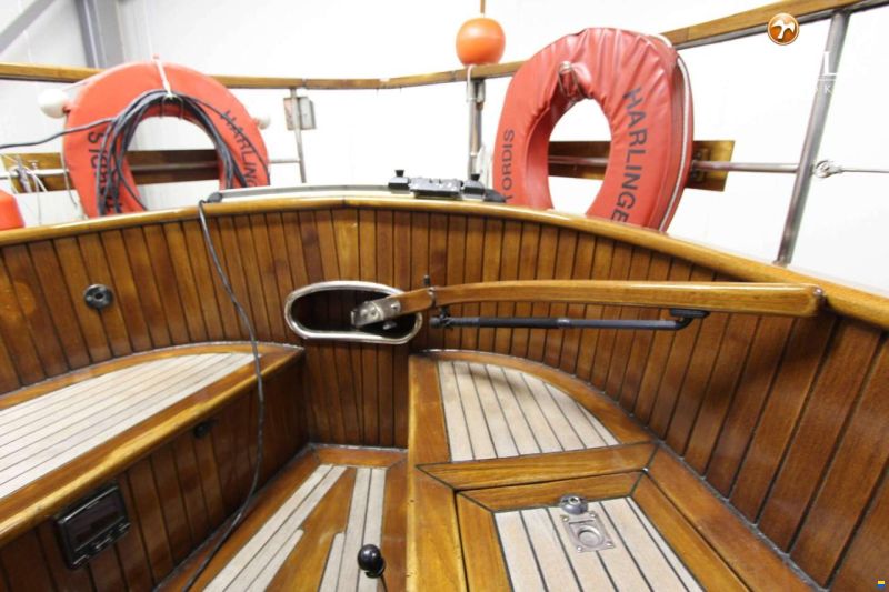 Danish Rose 31