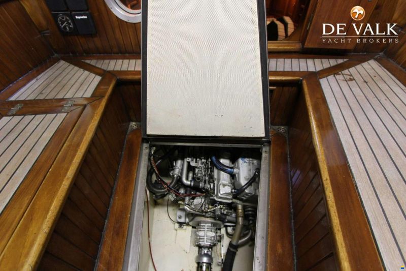Danish Rose 31