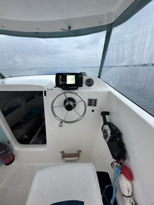 Bluestar Quicksilver Hardtop