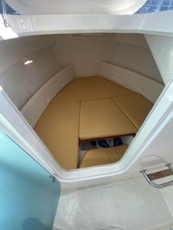 Bluestar Quicksilver Hardtop