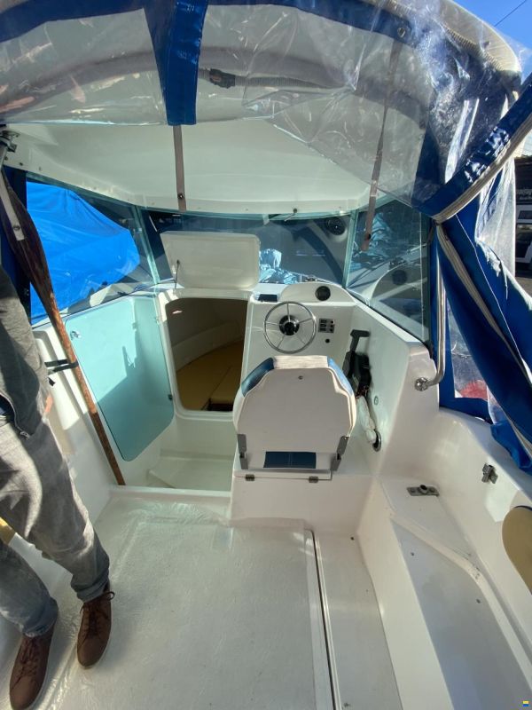 Bluestar Quicksilver Hardtop