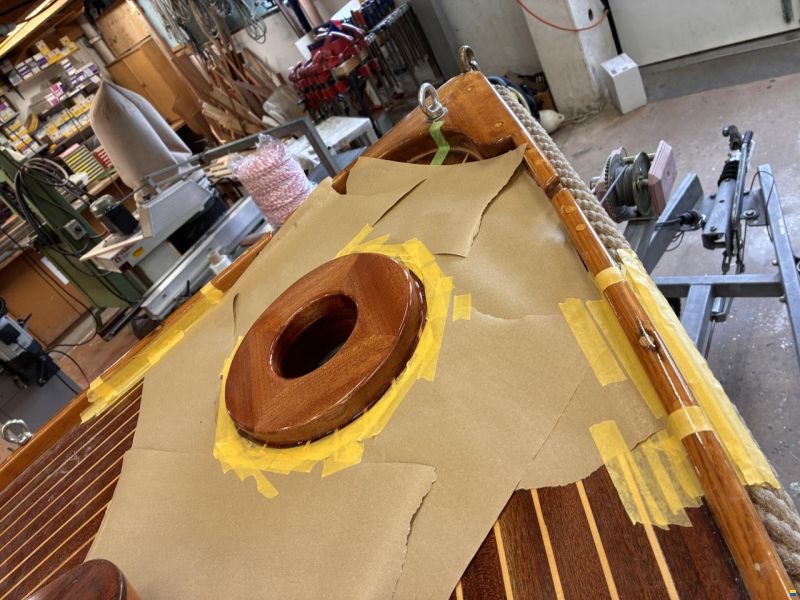 Tom Cat William Garden