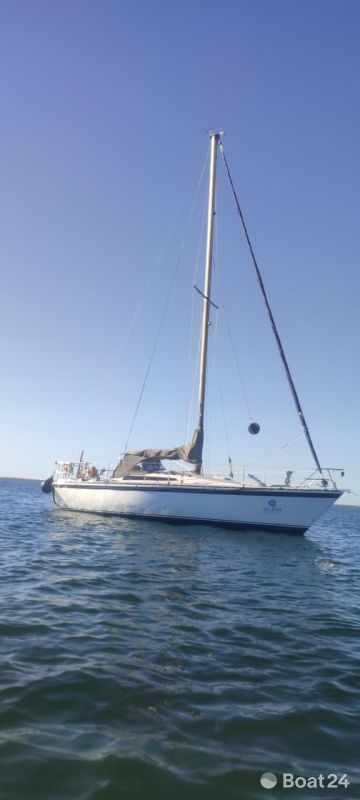 Kalik/Lewin Kalik 30