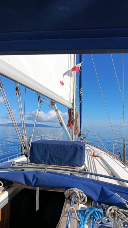 Bavaria 44