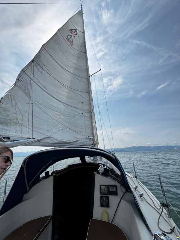 Dehlya 25