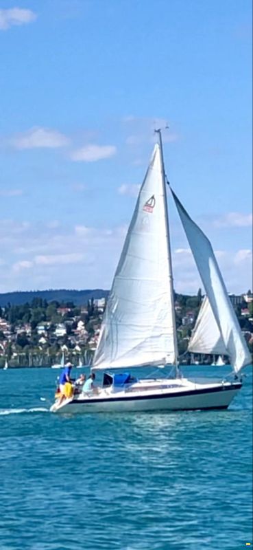 Dehlya 25
