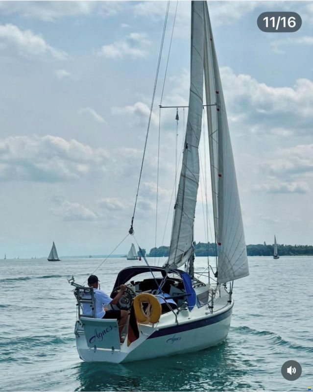Dehlya 25
