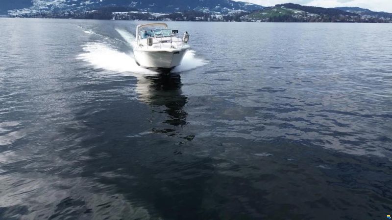 Sea Ray Ray 270 DA
