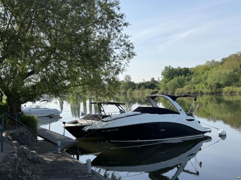 Sea Ray 265 DAE