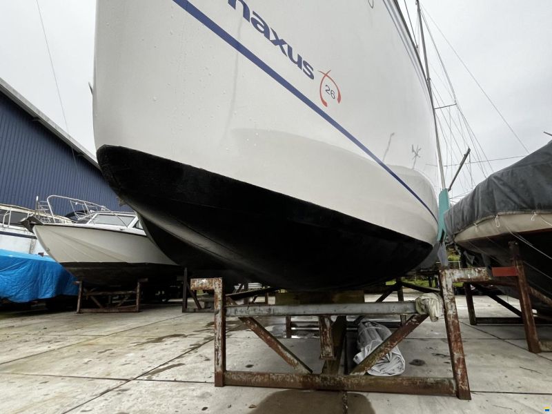 Northman Maxus 26