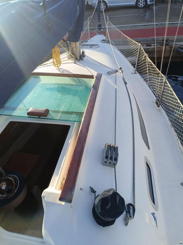 Astraea 260