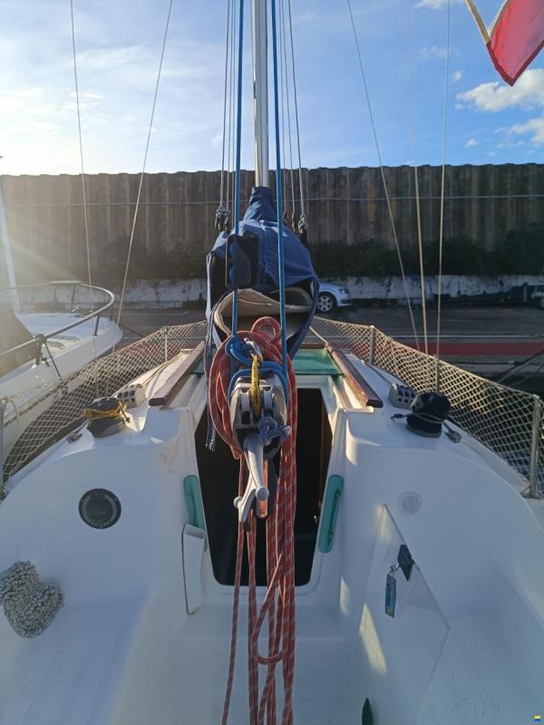 Astraea 260