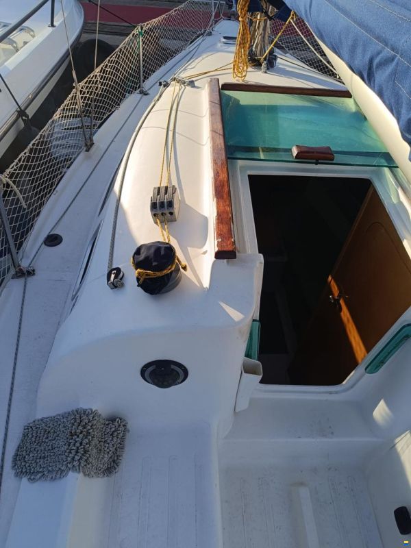 Astraea 260