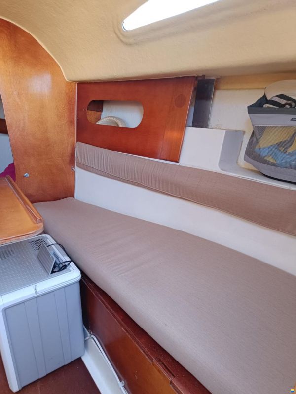 Astraea 260