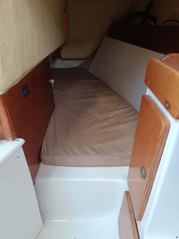 Astraea 260