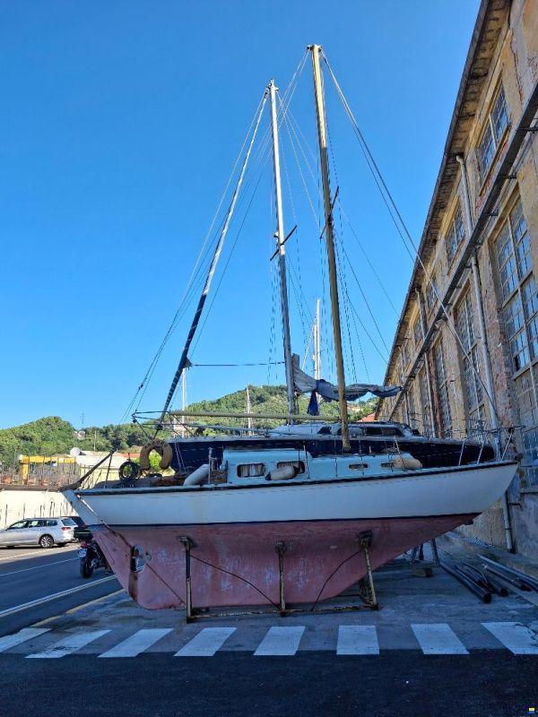 Offshore Halcyon 27