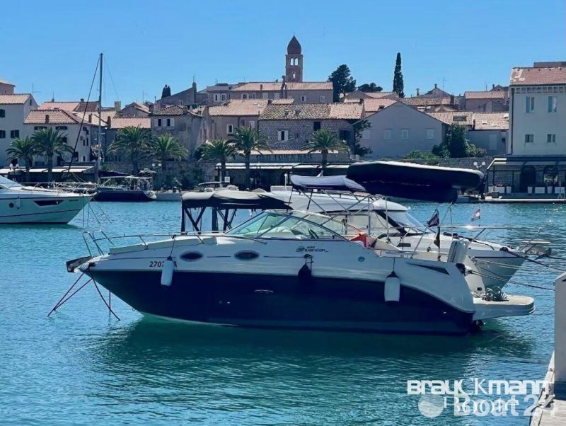 Sea Ray 255 DAE