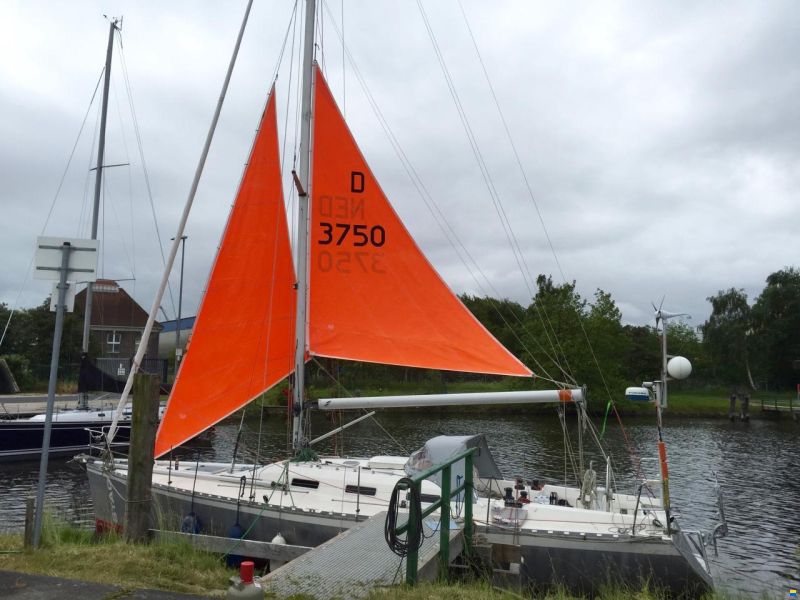 One Off Lutra 40