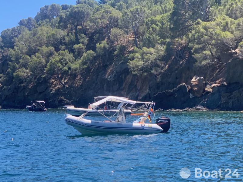 Zodiac Medline I Z14330