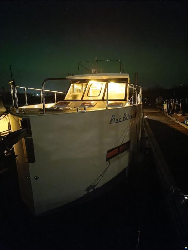 Cobra Futura 36