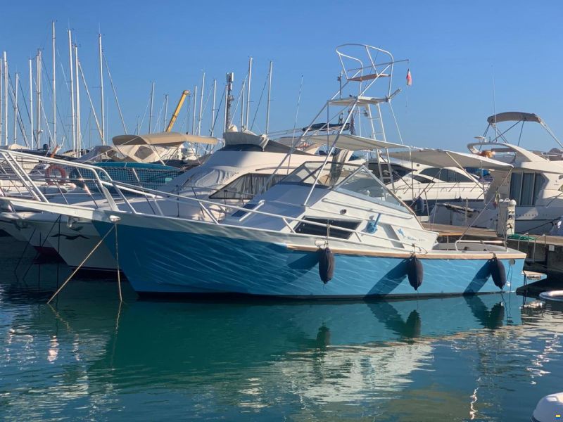 Striker 29