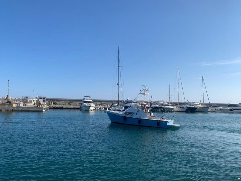 Striker 29