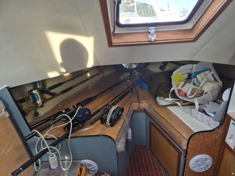 Striker 29
