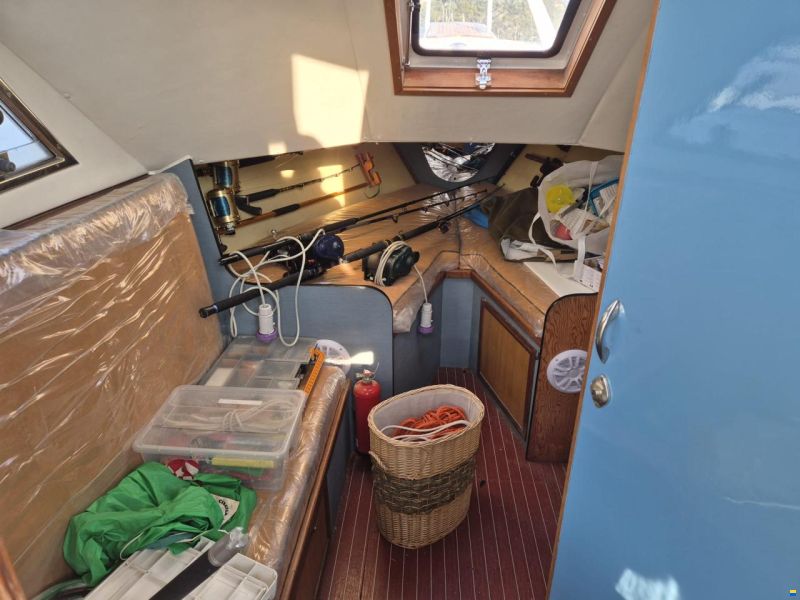 Striker 29