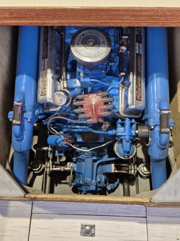 Riva Junior