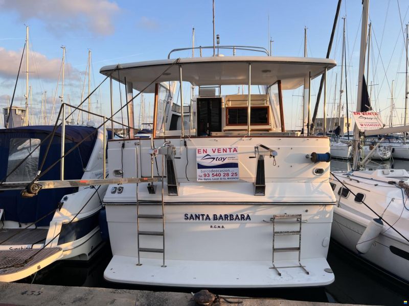 Carver 42