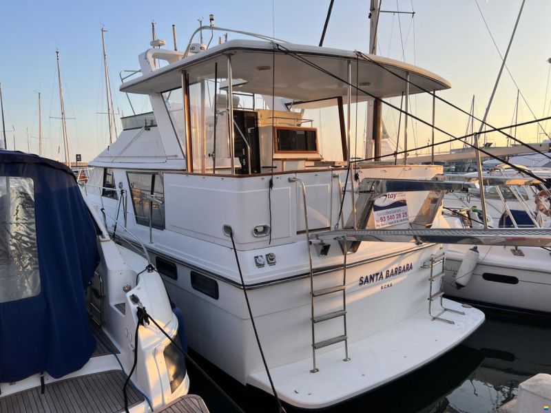 Carver 42