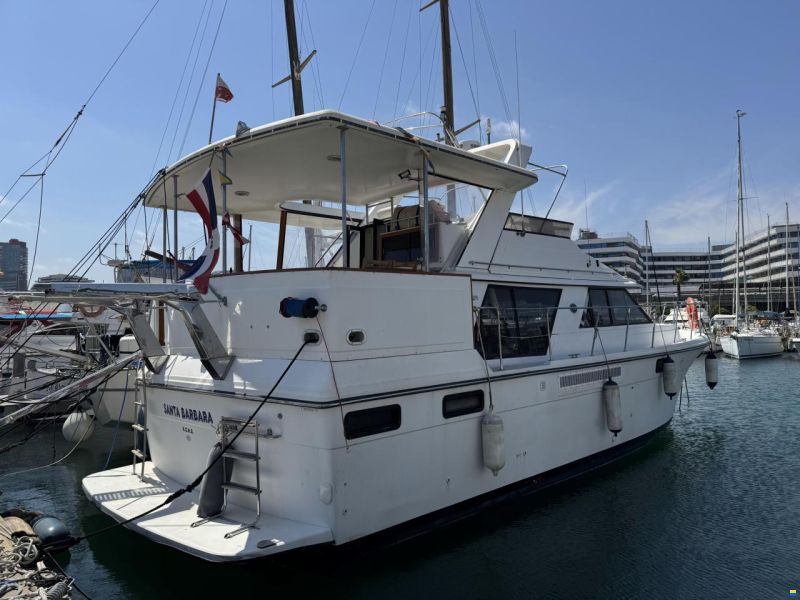 Carver 42