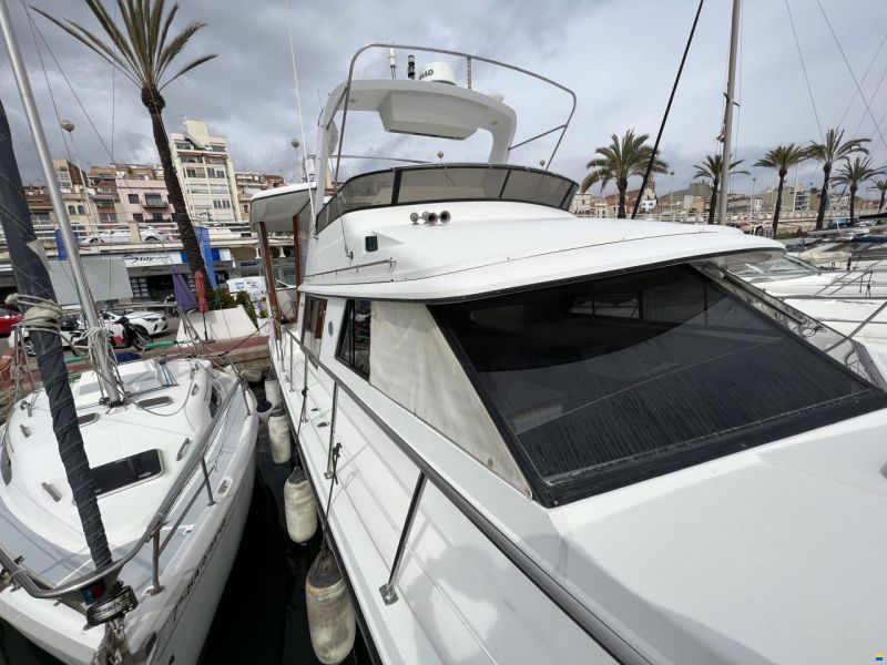Carver 42