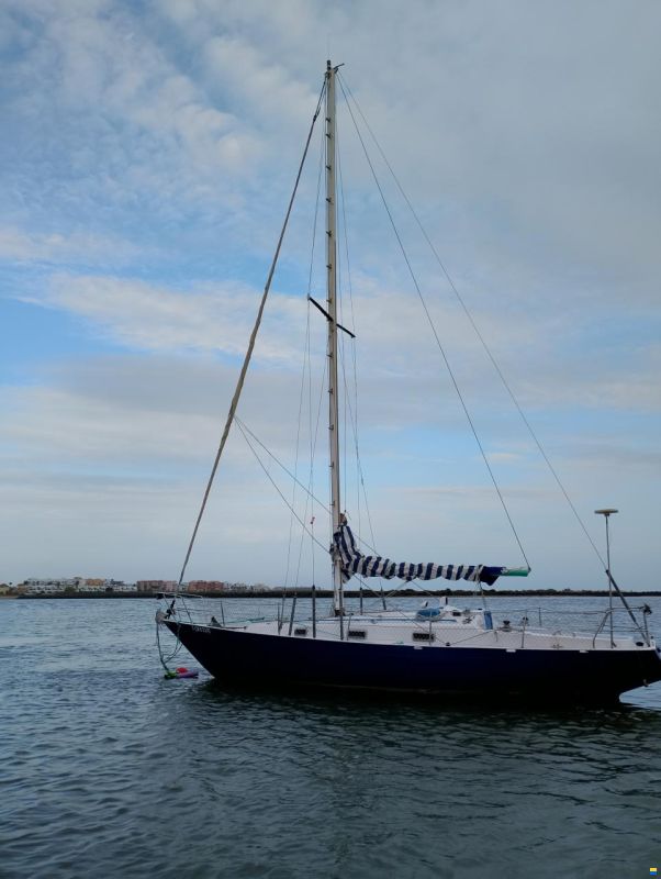Contessa 32