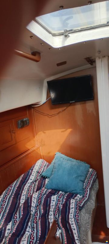 Contessa 32